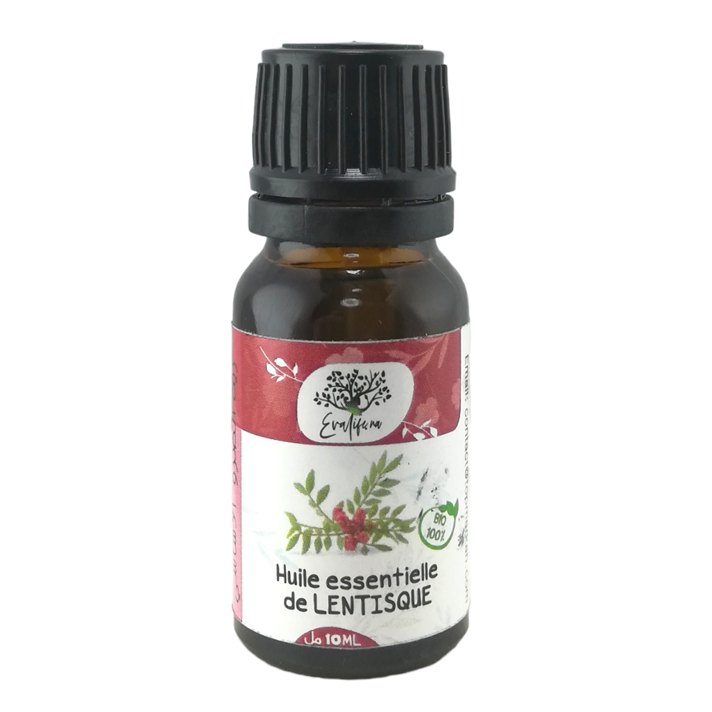 Huile Essentielle de Lentisque Pure et 100% naturel Sans Additifs 10ml – Image 2